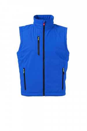 KARALISKI ZILA/JŪRAS ZILA