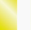 FLUORESCENT YELLOW/WHITE