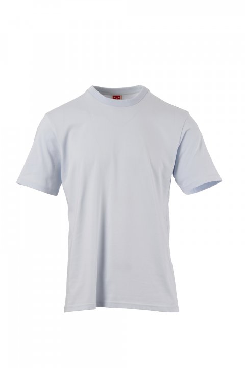 MĀKOŅU GAIŠI ZILA