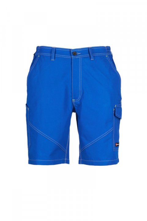 KRÓLEWSKI NIEBIESKI